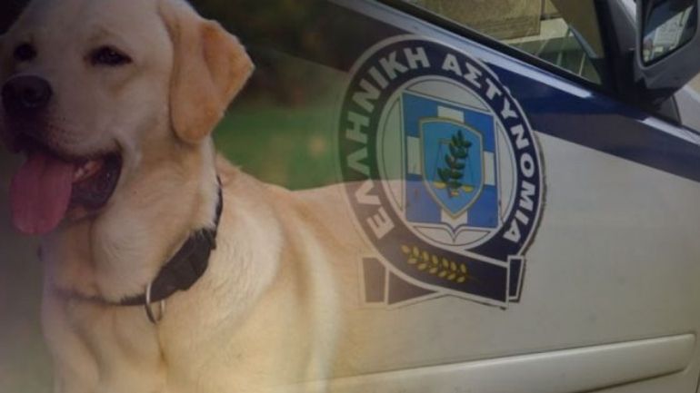 Κρήτη: Έδεσε το σκυλί του και το έσερνε με το εν κινήσει αυτοκίνητο